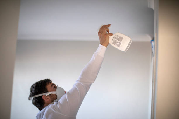 Best Water Damage Restoration  in South Hill, VA